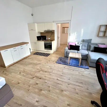 Geraeumige In Apartmán